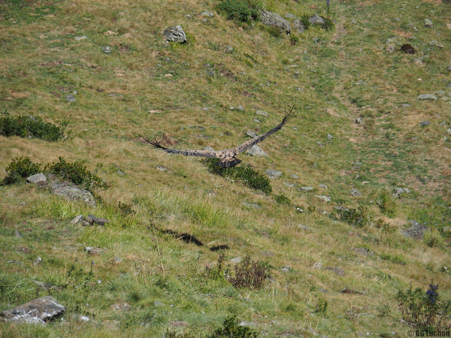 rencontre bagneres de luchon