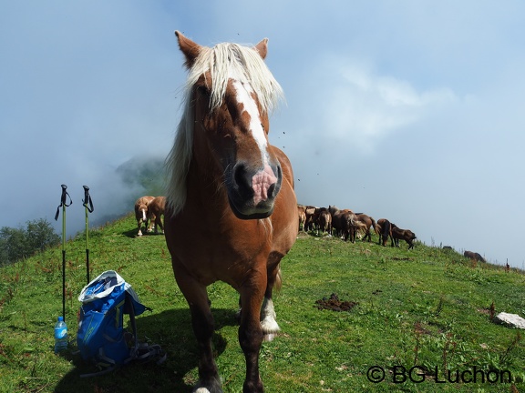 1608 BG Tuc du plan de la serre-08