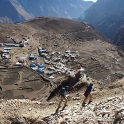 2411 AFDV Nepal Annapurna Naar et Phu-387